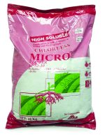 ميكرو استارتر